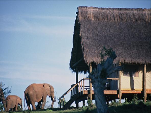 Gorah Elephant Camp - Exterior